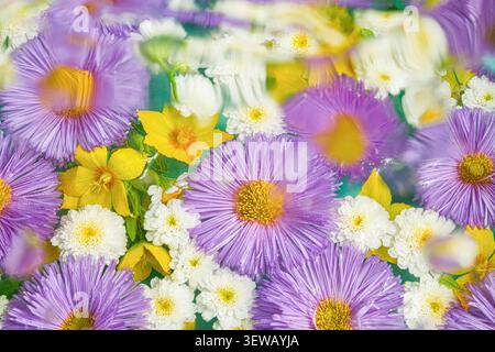 Fiori primaverili soffici e sfocati in una composizione astratta colorata, fiori viola, gialli e bianchi, effetto di sfocatura in movimento, spazio di copia minimo. Foto Stock