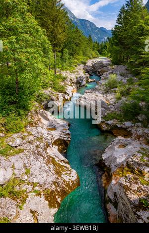 Il fiume Soča o Isonzo chiamato fiume Smeraldo in Slovenia è un fiume alpino selvaggio con acque cristalline e tipico colore verde turchese con molti rapi Foto Stock