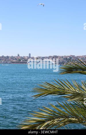Nave da crociera sul Bosforo a Istanbul, Turchia, vista con foglie di palma in primo piano Foto Stock