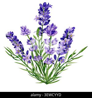 Illustrazione disegnata a mano con acquerello. Bouquet di lavanda. Foto Stock
