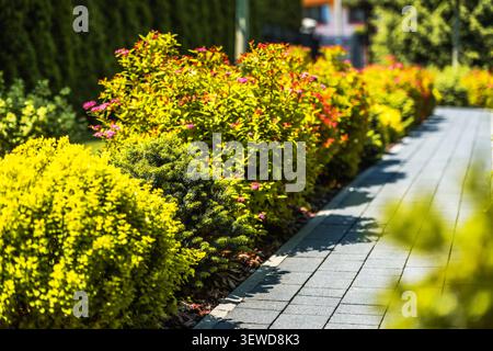 Fiori luminosi e cespugli verdi creano un giardino colorato lungo la passerella. Le piante sono disposte in modo ordinato su entrambi i lati del percorso, che conduce a Thro Foto Stock