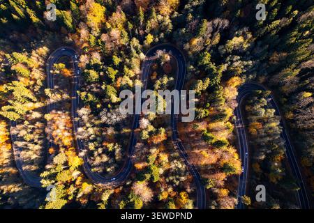 Veduta aerea di una strada tortuosa attraverso una fitta foresta con vibrante fogliame autunnale a Cheia, Prahova, Romania. Foto Stock
