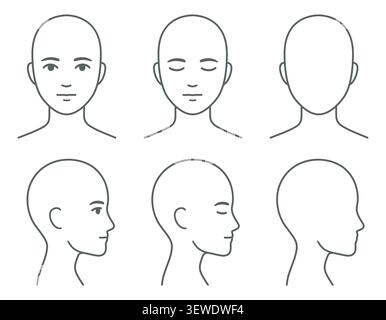 Viso e profilo vuoti (senza capelli), occhi aperti e chiusi. Modello di testa unisex per infografica medica. Illustrazione vettoriale isolata. Illustrazione Vettoriale