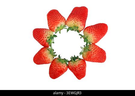 Foto ravvicinata ad alta risoluzione di sette fragole fresche disposte ad arte in una formazione circolare su uno sfondo bianco chiaro. La stra Foto Stock