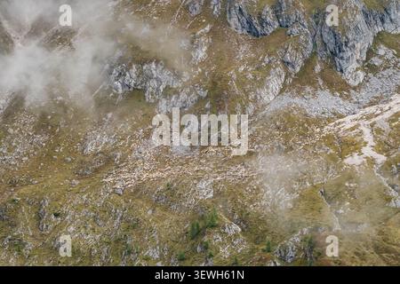 Gregge di pecore al pascolo sulle Montagne Rocciose, Dolomiti, Italia Foto Stock