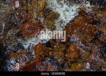 Foto macro orizzontale di acqua cristallina del fiume che spruzza e scorre su pietre marroni bagnate che brillano alla luce del sole. Foto Stock
