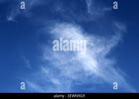 Nubili cirrus bianchi e sottili sparsi su un cielo blu profondo, creando uno sfondo naturale morbido con spazio per il testo Foto Stock