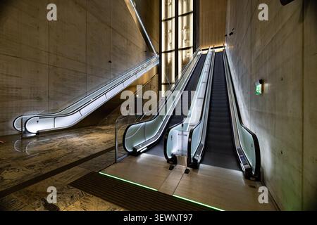 Le moderne scale mobili scorrono attraverso lo spazio in cemento lucido. Le guide illuminate riflettono il bagliore ambientale degli impianti a soffitto. Il pavimento si illumina con una morbida striscia verde Foto Stock