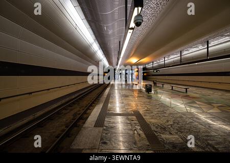 Tunnel lungo con complessi motivi a soffitto e illuminazione elegante. Le tracce di metallo brillano sotto un'illuminazione moderna e fresca. La piattaforma pulita e vuota invita a un quiz Foto Stock