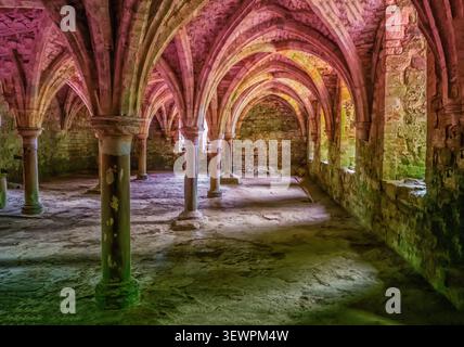 Battle Abbey, una suggestiva cripta medievale con colonne in pietra, archi a volta a costine e grezze murature bagnate di luce rosa e verde, che evocano hi Foto Stock