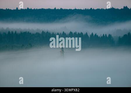 Pilone elettrico che emerge dalla fitta nebbia mattutina, trasmettendo energia attraverso un misterioso paesaggio forestale durante l'ora blu rendendo le infrastrutture industriali parte della natura Foto Stock