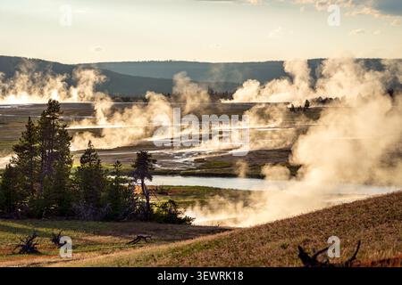 Vapore geotermico che si alza dai geyser e dalle sorgenti termali nel Bacino Superiore dei Geyser nello Yellowstone National Park, Wyoming, USA. 30 giugno 2023. Foto Stock