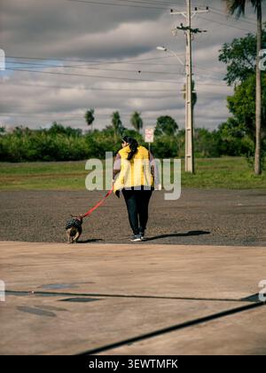 Donna in gilet giallo cammina piccolo cane al guinzaglio rosso. Indossa pantaloni scuri e scarpe leggere. La postura tranquilla mostra una passeggiata rilassata. Linee elettriche e palme Foto Stock