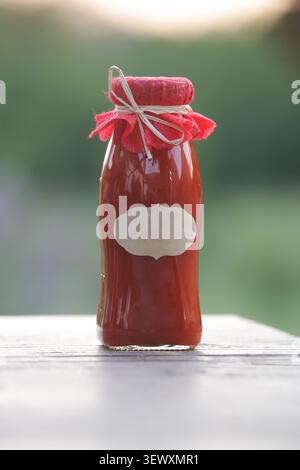 Condimento in stile ketchup. Salsa di pomodoro fatta in casa in bottiglia di vetro con etichetta vuota, concetto "dalla fattoria alla tavola". Foto Stock