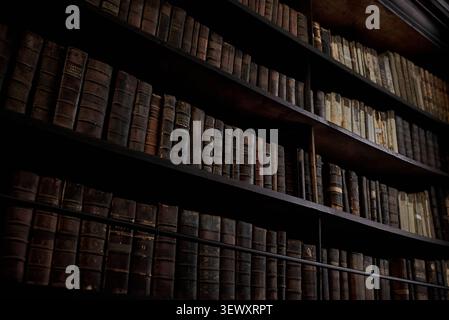 File di libri rilegati in pelle antichi su scaffali di legno nella Biblioteca Marsh di Dublino. Foto Stock