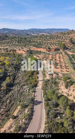 Ripresa aerea di una strada di campagna curva che passa attraverso verdi oliveti e colline nella regione mediterranea della Spagna. Foto Stock