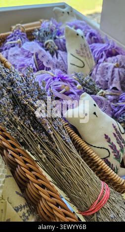 Bustine con lavanda e mazzi, al bancone in scatole di vimini Foto Stock