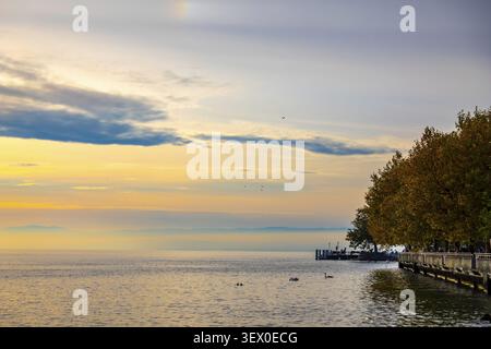 Tramonto sullo splendido lago di Ginevra con riflesso e un molo con albero a Vevey, Canton Vaud, Svizzera Foto Stock