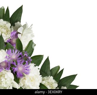 Peonie e fiori selvatici ad angolo isolati su sfondo bianco Foto Stock