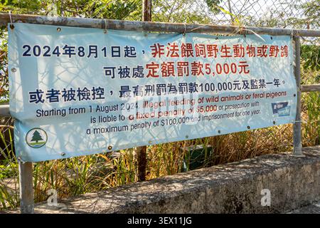 Banner pubblicitario a Hong Kong che annuncia severe sanzioni per l'alimentazione di animali selvatici o piccioni selvatici Foto Stock