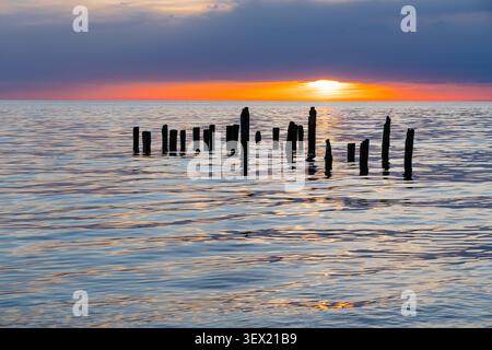 Resti di un vecchio molo in legno stagliato contro un tramonto colorato sul Mar Baltico vicino alle scogliere di Staldzene, Ventspils, Lettonia Foto Stock