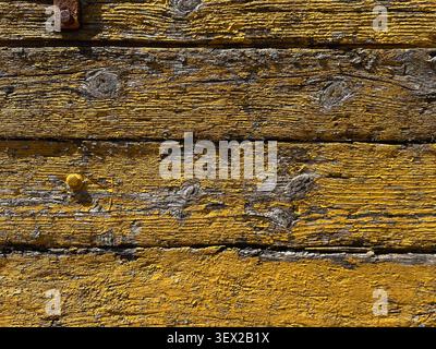 Vecchia trama di legno giallo con sfondo rustico a bullone metallico Foto Stock