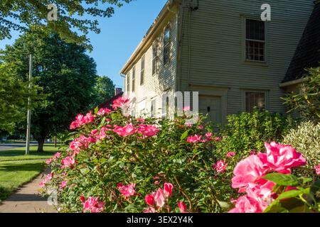 Fiori che fioriscono fuori da una casa sulla Main Street a Old Wethersfield, Connecticut (CT) Foto Stock