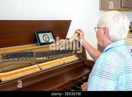 Uno sguardo ravvicinato all'interno di un pianoforte. Foto Stock