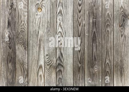 Le tavole di legno grigie con agenti atmosferici creano uno sfondo rustico con grana visibile, nodi e agenti atmosferici, perfetto per i mockup dei prodotti e l'intestazione del sito Web Foto Stock