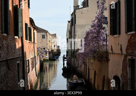 Strada lungo il canale fiancheggiata da glicine fiorite a Venezia, Italia. Foto Stock