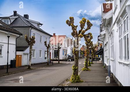 Affascinanti case bianche fiancheggiate da una strada tranquilla con alberi fioriti sotto un cielo luminoso Foto Stock