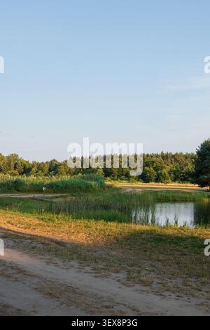 Una foto verticale di un tranquillo paesaggio di campagna con un piccolo laghetto, campi verdi e una fitta foresta sotto un cielo azzurro cristallino durante un caldo e dorato Foto Stock
