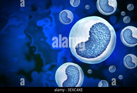 Cellula monocita umana come cellula immunitaria innata circolante responsabile del riconoscimento patogeno della fagocitosi della presentazione dell'antigene e del regul del sistema immunitario Foto Stock