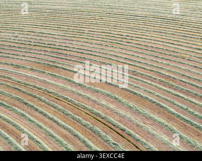 Strisce marrone chiaro e verde modellano il paesaggio Foto Stock