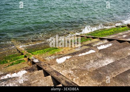 Gradini in cemento intempestivo ricoperti di muschio verde e onde di spruzzo, diga di protezione contro l'erosione costiera Foto Stock
