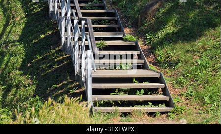 Una funzionale scala in legno con corrimano in metallo si arrampica su una collina verdeggiante con copertura verde che cresce sotto i gradini aperti Foto Stock