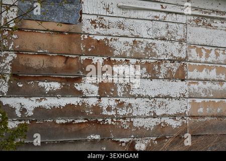 Vecchio rivestimento di una casa con vernice bianca che si sfalda rivelando il legno Foto Stock