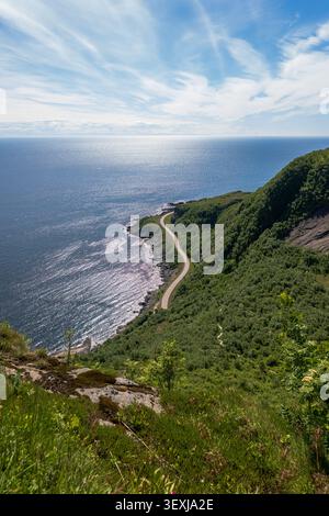 La tortuosa strada costiera scende attraverso lussureggianti e verdi scogliere boschive fino alla costa rocciosa dell'Artico a Lofoten, Norvegia. Paesaggio spettacolare Foto Stock