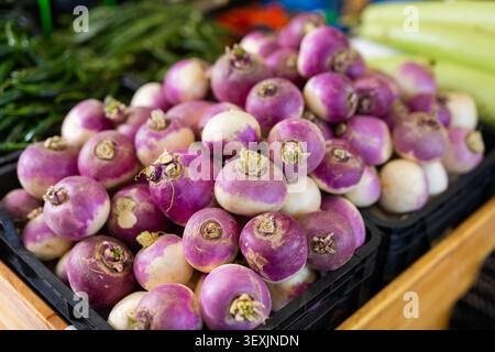 Radici di rapa esposte per la vendita alla greengrocery Foto Stock