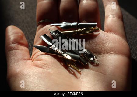 Primo piano di una mano che tiene in mano un set di pennini per calligrafia. Le punte delle penne in metallo poggiano sul palmo, illuminate da una luce calda. L'immagine è perfetta per t Foto Stock