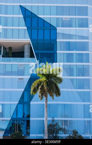 Miami, FL, USA - 8 febbraio 2026: Palma in contrasto con la facciata in vetro blu di un edificio urbano contemporaneo Foto Stock