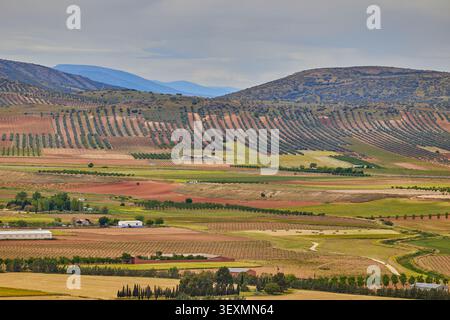 Vista aerea delle aziende agricole e dei campi agricoli. Consuegra, Toledo, Spagna. Foto Stock