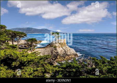 Lone Cypress Tree sull'iconica California 17-Mile Drive. 17-Mile Drive è una strada panoramica che attraversa Pacific Grove e Pebble Beach sulla penisola di Monterey in California, la maggior parte della quale abbraccia la costa del Pacifico e passa accanto a famosi campi da golf e ville. Parte di essa funge da strada principale attraverso la comunità recintata di Pebble Beach. California, Stati Uniti Foto Stock