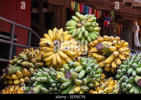 Un mercato a grappolo tropicale di frutta di banane fresche mature gialle piene di banane biologiche nel vivace mercato all'aperto che presenta un mix di frutta matura e acuta Foto Stock