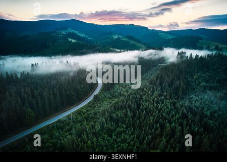 Vista aerea dei serpenti tortuosi della strada attraverso la fitta foresta ricoperta di nebbia alla luce del mattino presto. Lussureggianti alberi verdi con strati di nebbia che creano un'atmosfera da sogno mentre le montagne si innalzano sullo sfondo. Foto Stock