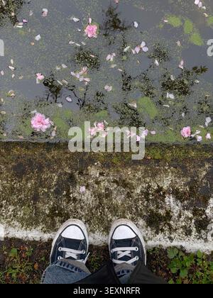 Romantiche fioriture sullo sfondo tranquillo, vista dall'alto. Antiche pietre d'epoca, scarpe, fiori rosa e piante verdi in acqua Foto Stock