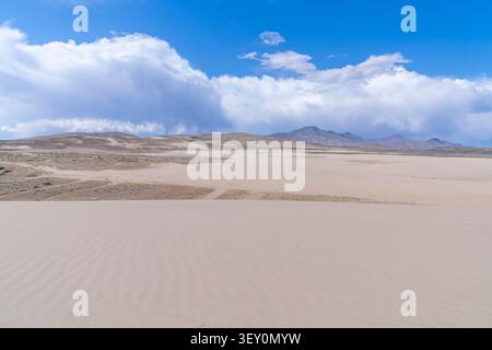 Le dune d'oro ondulano verso le montagne rocciose, catturando le distese tranquille e le mutevoli texture del deserto aperto sotto un cielo luminoso. Foto Stock