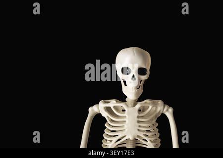 Modello anatomico realistico di uno scheletro umano visualizzato su sfondo scuro Foto Stock
