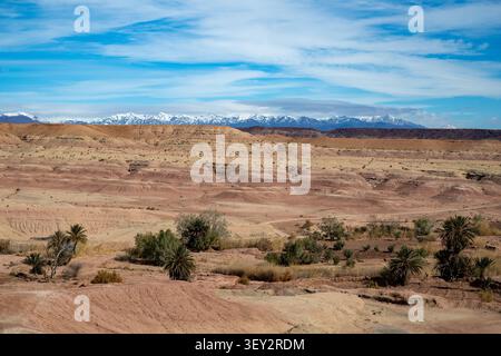 Il panorama delle oasi del deserto vicino all'Ait Zineb mostra palme, colline aride e lontane montagne innevate dell'Atlante sotto un cielo azzurro. Foto Stock