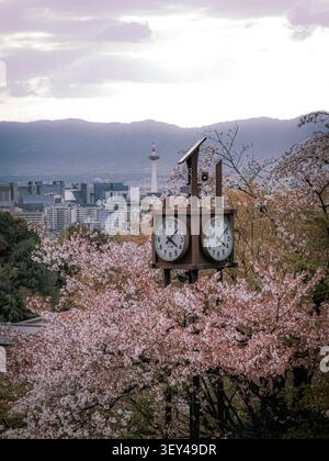 Vista panoramica di un orologio all'aperto circondato da fiori di ciliegio in fiore, con la Torre di Kyoto e lo skyline della città sullo sfondo, Giappone. Foto Stock
